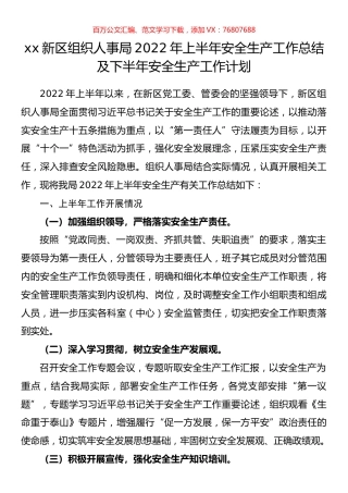 新区组织人事局2022年上半年安全生产工作总结及下半年安全生产工作计划.docx