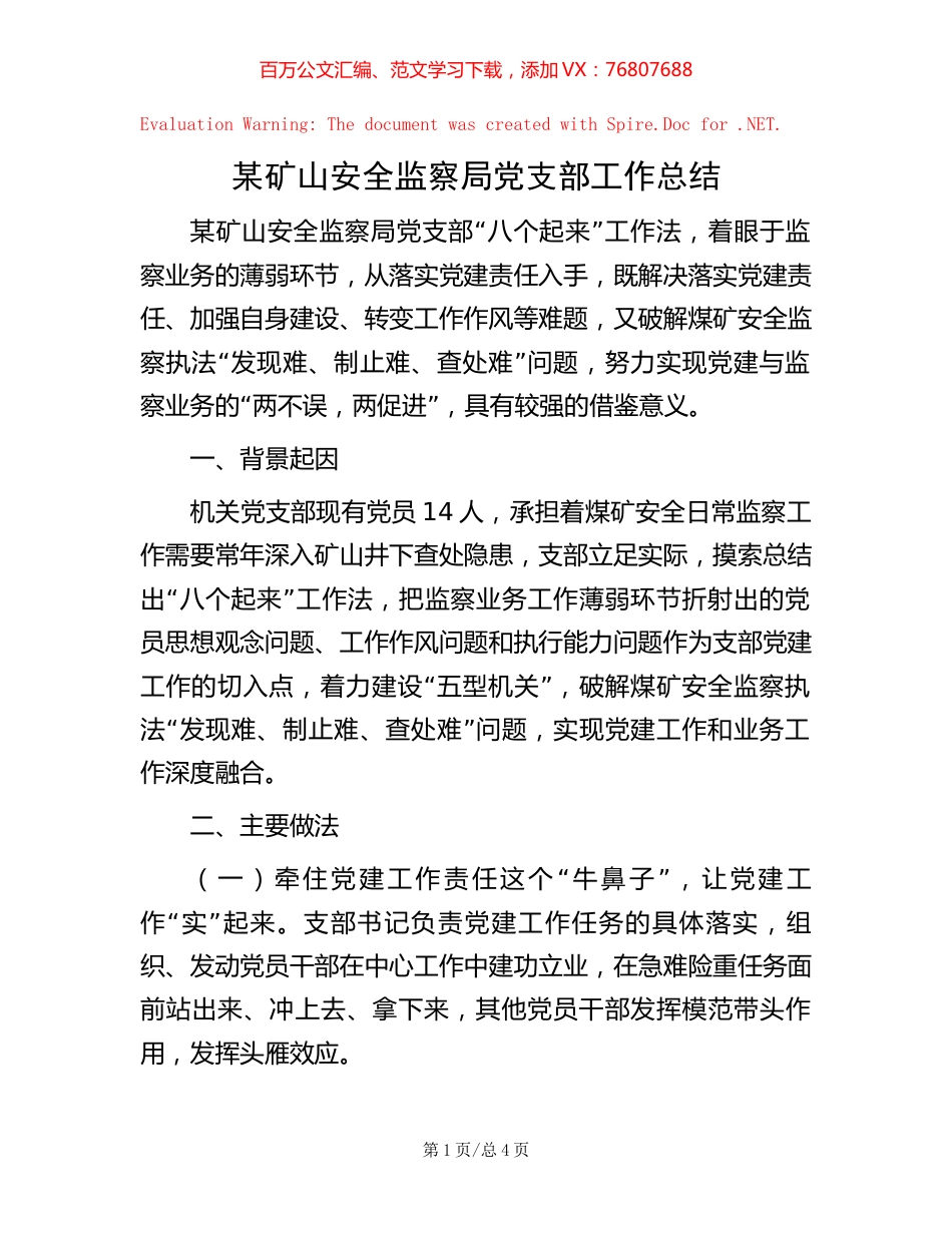 -某矿山安全监察局党支部工作总结.docx_第1页