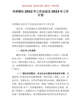 市供销社2022年工作总结及2023年工作计划.docx