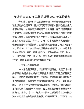 市供销社2022年工作总结暨2023年工作计划.docx