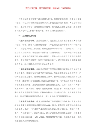 X县党员领导干部党支部联系点工作开展情况总结.docx