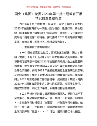 国企（集团）党委2023年第一批主题教育开展情况自查总结报告.docx