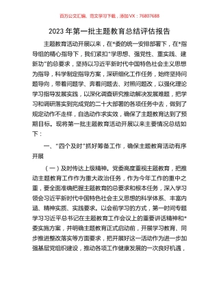 2023年第一批主题教育总结评估报告.docx