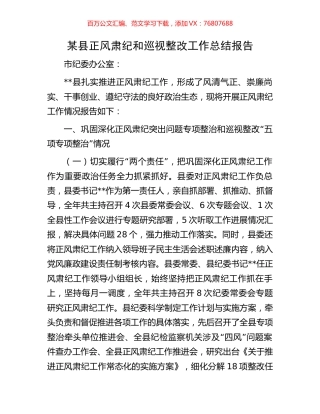 某县正风肃纪和巡视整改工作总结报告.docx