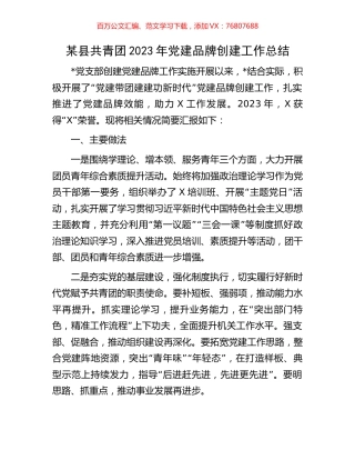 某县共青团2023年党建品牌创建工作总结.docx