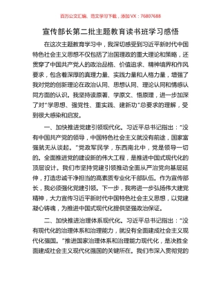 宣传部长第二批主题教育读书班学习感悟.docx
