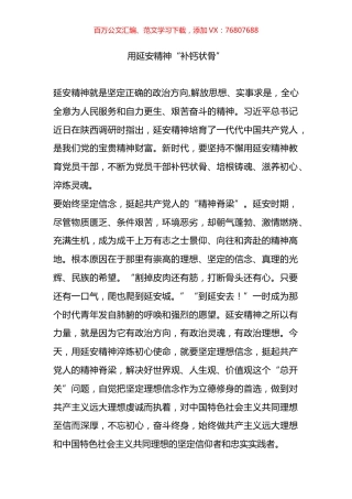 学习延安精神心得体会.docx