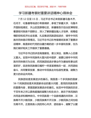 学习新疆考察时重要讲话精神心得体会.docx