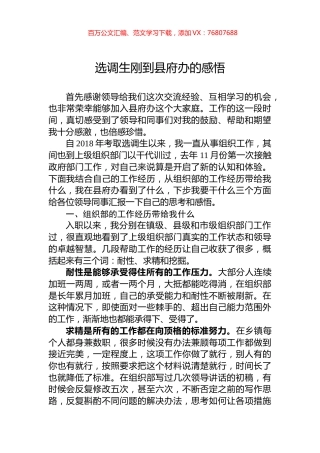 选调生刚到县府办的感悟.docx