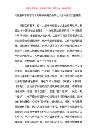 纪检监察干部学习十九届七中全会公报感悟.docx