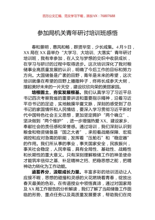 参加局机关青年研讨培训班感悟.docx