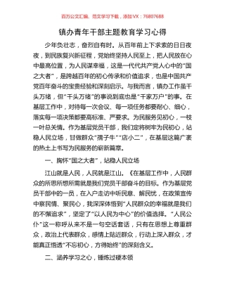 镇办青年干部主题教育学习心得.docx