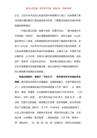 学习总书记山东东营视察讲话心得体会之五docx.docx