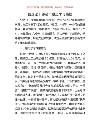 县选派干部赴市跟班学习感悟.docx