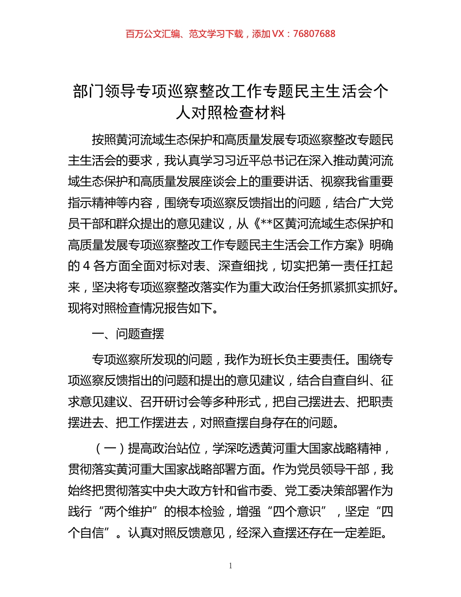 -部门领导专项巡察整改工作专题民主生活会个人对照检查材料.docx_第1页