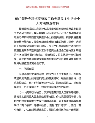 -部门领导专项巡察整改工作专题民主生活会个人对照检查材料.docx