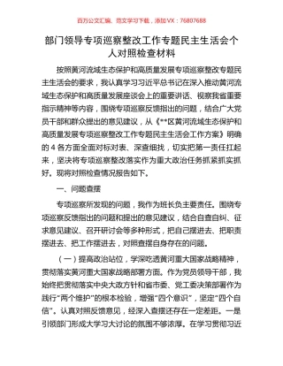 部门领导专项巡察整改工作专题民主生活会个人对照检查材料.docx