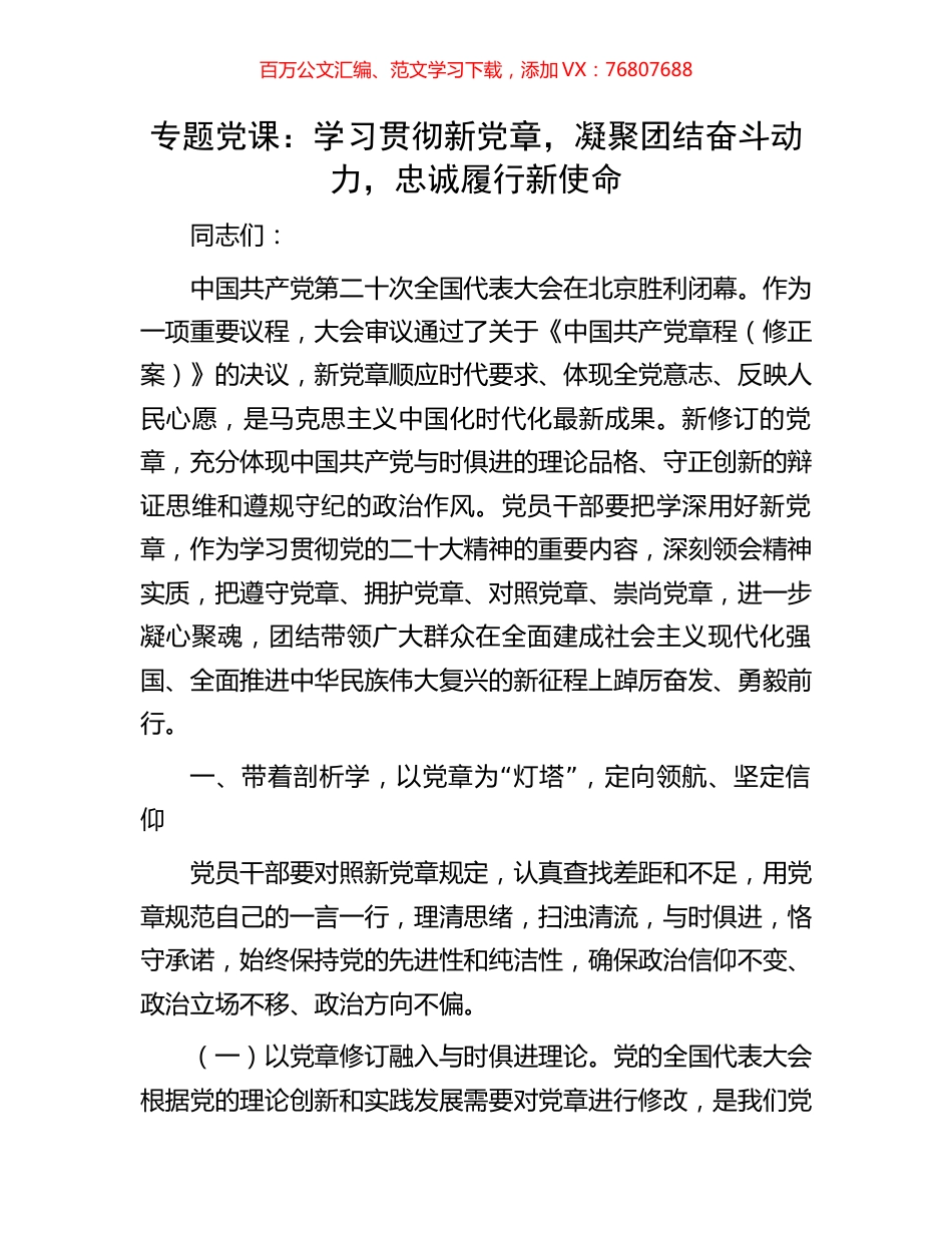 专题党课：学习贯彻新党章，凝聚团结奋斗动力，忠诚履行新使命.docx_第1页