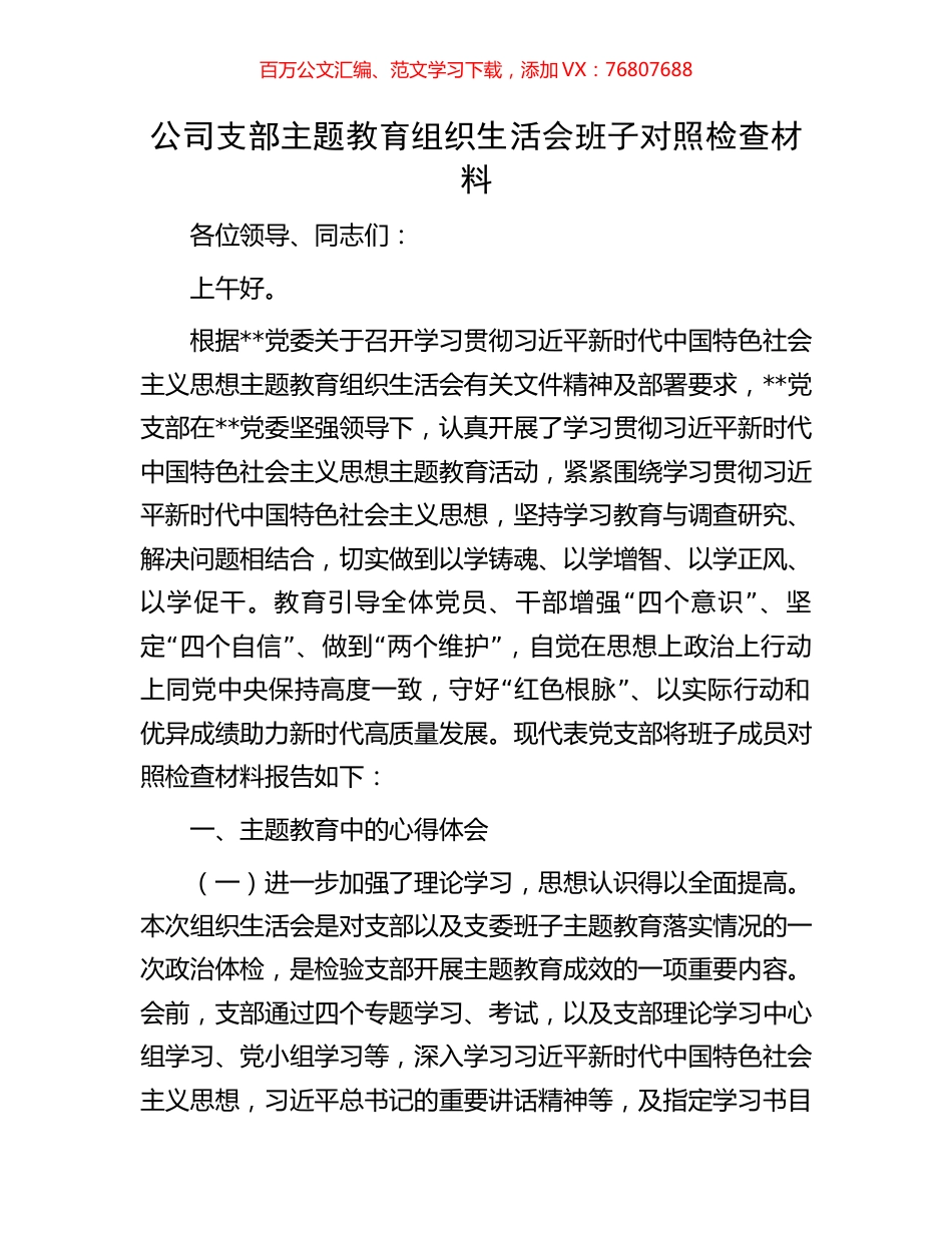 公司支部主题教育组织生活会班子对照检查材料.docx_第1页