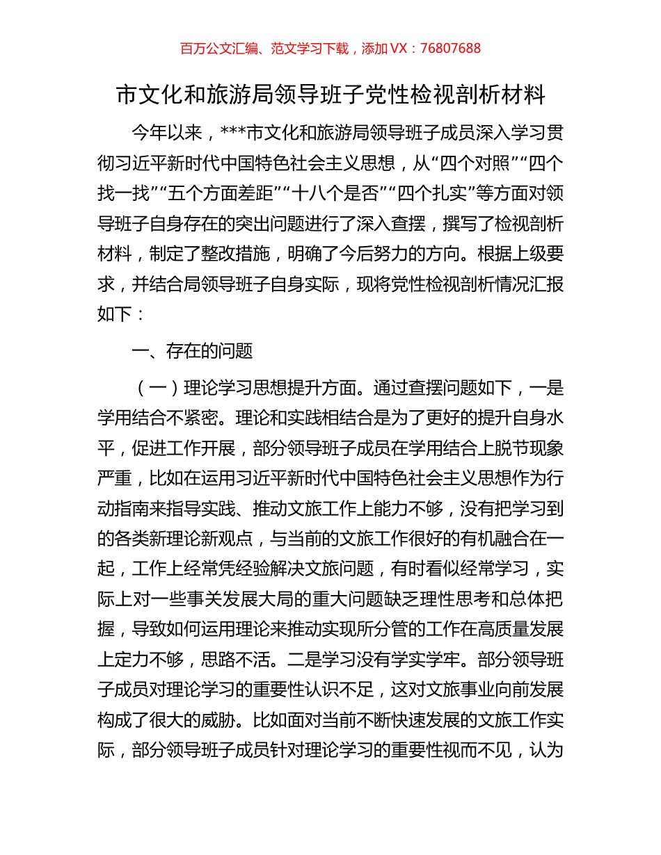 市文化和旅游局领导班子党性检视剖析材料.docx_第1页