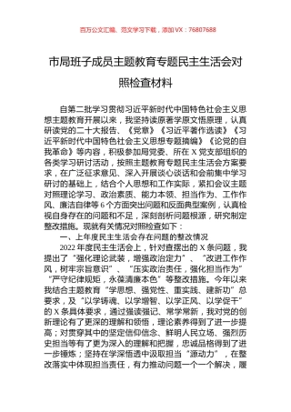 市局班子成员主题教育专题民主生活会对照检查材料.docx
