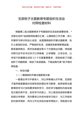 支部班子主题教育专题组织生活会对照检查材料03.docx