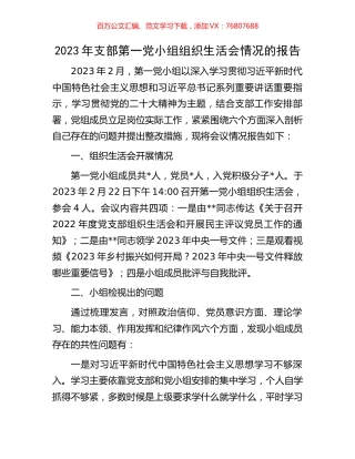 2023年支部第一党小组组织生活会情况的报告.docx