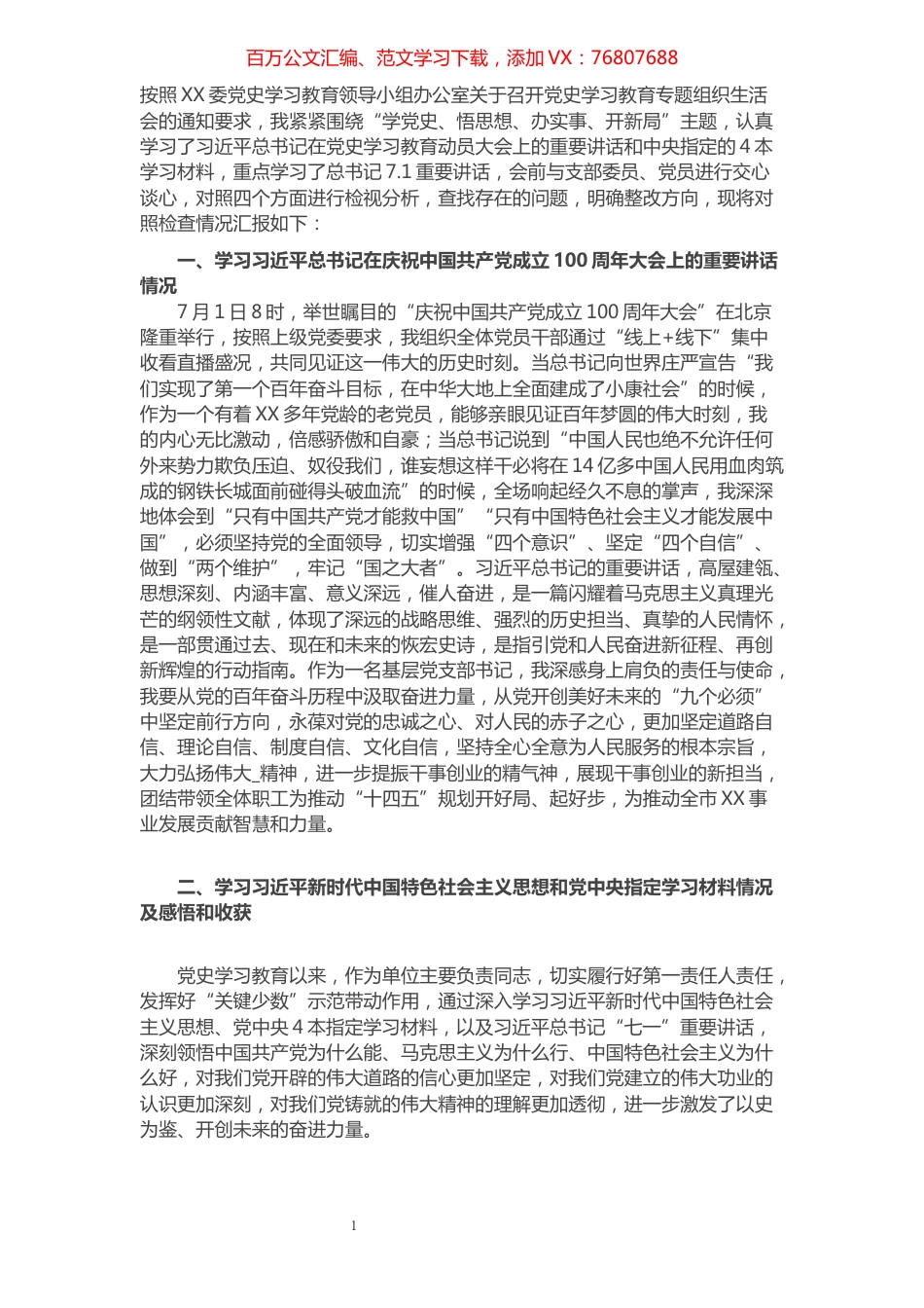 党支部书记2021年组织生活会个人检视剖析材料.docx_第1页