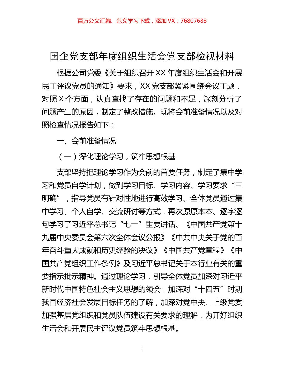 -国企党支部年度组织生活会党支部检视材料.docx_第1页