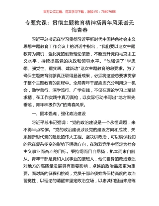 专题党课：贯彻主题教育精神扬青年风采谱无悔青春.docx