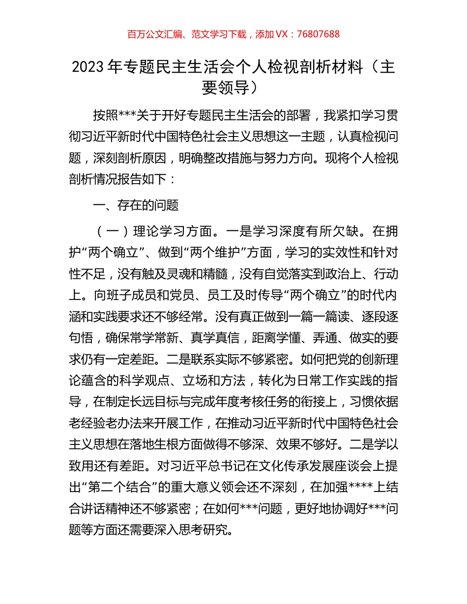 2023年专题民主生活会个人检视剖析材料（主要领导）.docx_第1页
