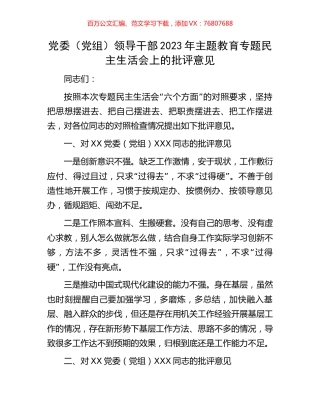 党委（党组）领导干部2023年主题教育专题民主生活会上的批评意见.docx
