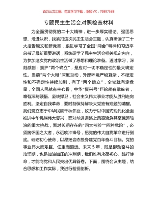 专题民主生活会对照检查材料.docx