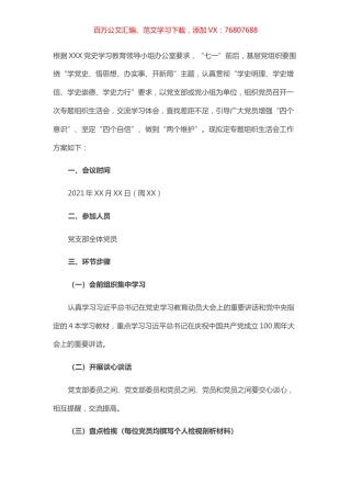 国有企业党支部党史学习教育专题组织生活会工作方案.docx
