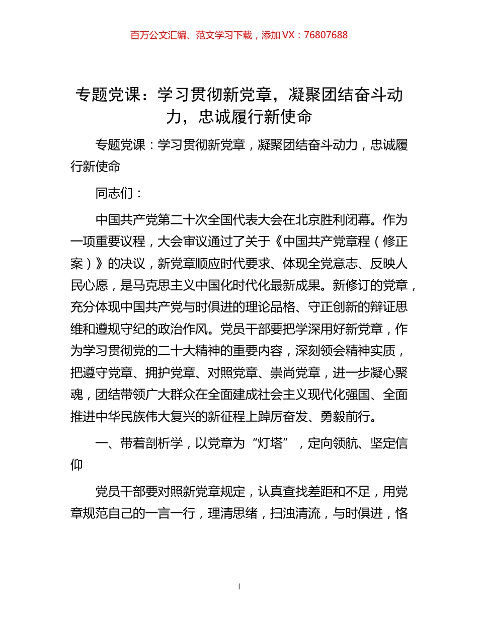 -专题党课：学习贯彻新党章，凝聚团结奋斗动力，忠诚履行新使命.docx_第1页