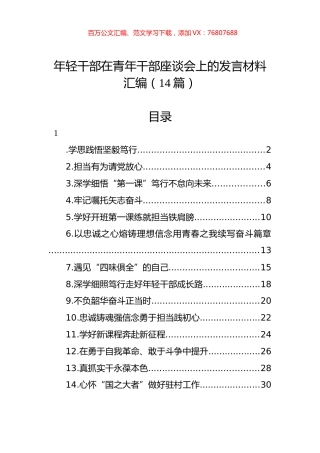 年轻干部在青年干部座谈会上的发言材料汇编（14篇）.docx