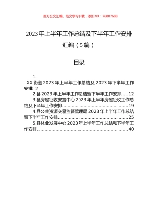 2023年上半年工作总结及下半年工作安排汇编（5篇）.docx