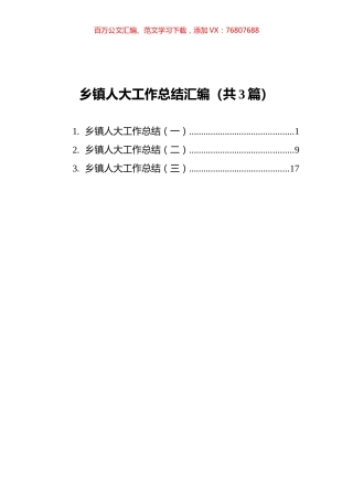 乡镇人大工作总结汇编（共3篇）.docx