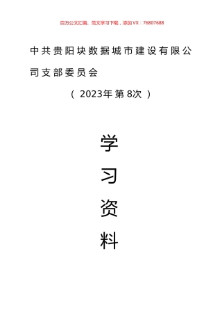 公司2023年第8次支委会学习资料汇编.docx