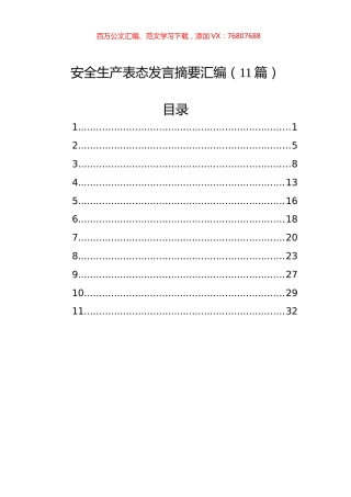 安全生产表态发言摘要汇编（11篇）.docx