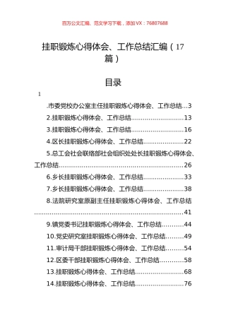 挂职锻炼心得体会、工作总结汇编（17篇）.docx