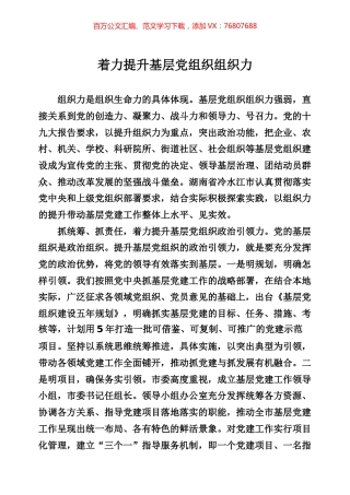 农村基层党建专辑.docx