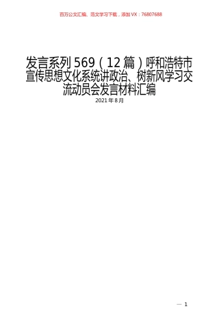 （12篇）呼和浩特市宣传思想文化系统讲政治、树新风学习交流动员会发言材料汇编.docx