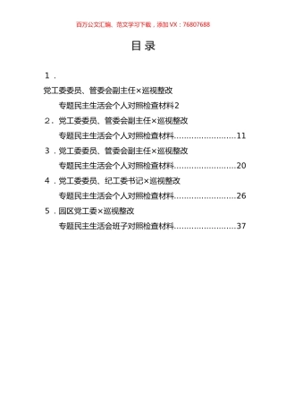 园区党工委班子、成员巡视整改对照检查材料汇编.docx