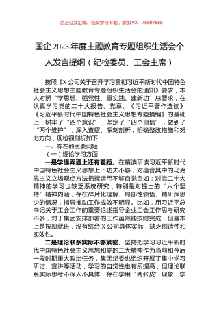 国企2023年度主题教育专题组织生活会个人发言提纲（纪检委员、工会主席）.docx