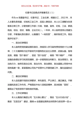 公司纪委书记自我点评画像及为班子成员点评画像汇编.docx