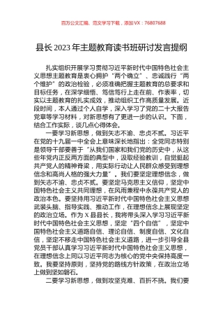县长2023年主题教育读书班研讨发言提纲.docx