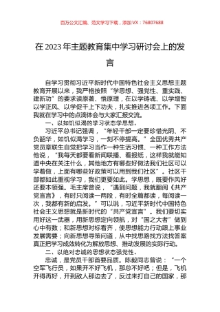 在2023年主题教育集中学习研讨会上的发言.docx