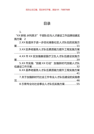 人才队伍建设工作实施方案汇编.docx