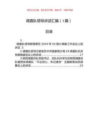 调查队领导讲话汇编（3篇）.docx